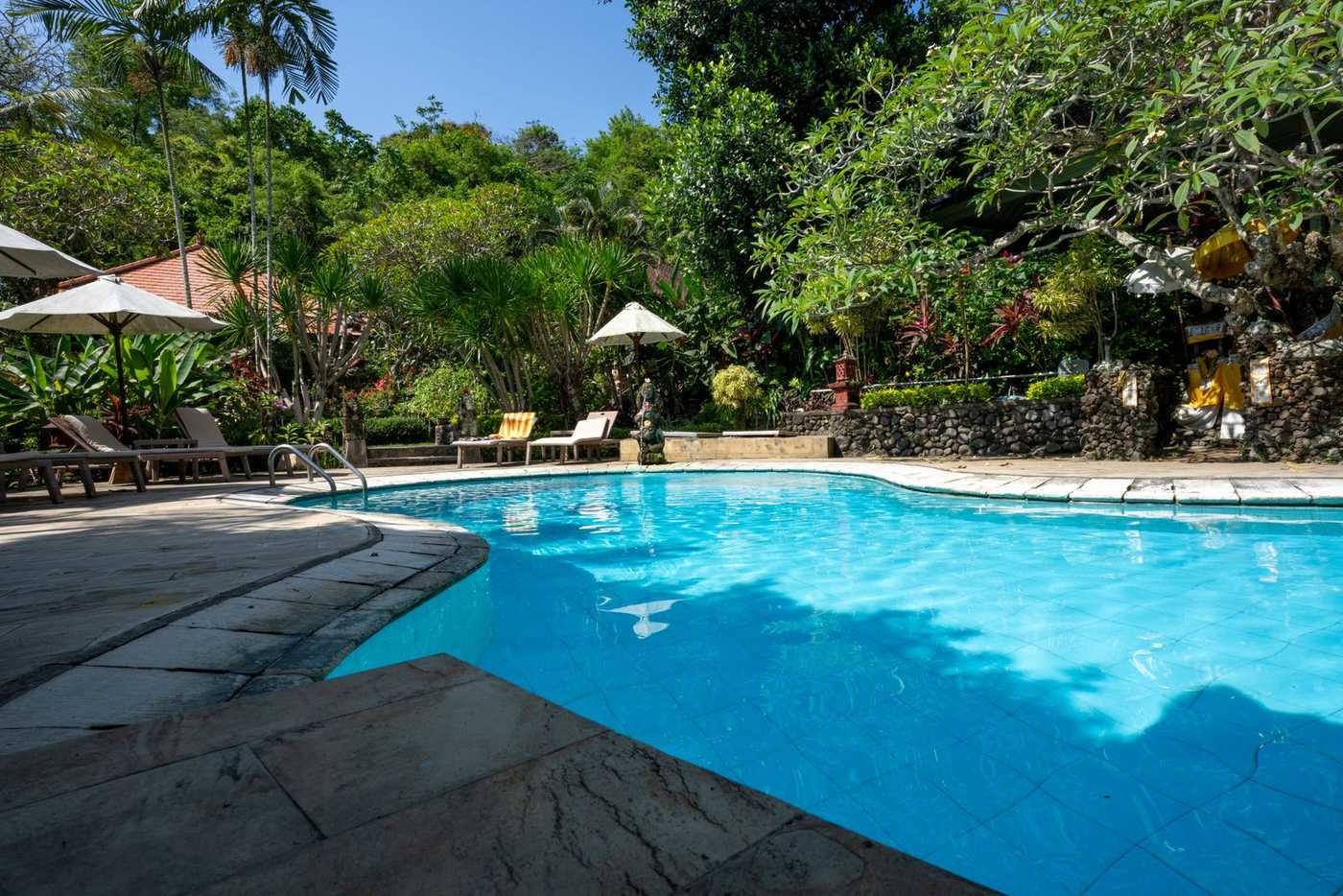 Tropischer Pool mit Palmen auf Bali
